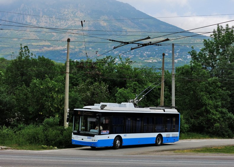 Троллейбус - один из основных городских видов транспорта - Фото 03