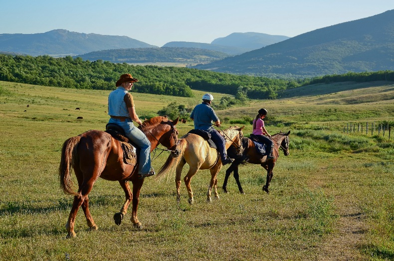 Конные прогулки по Байдарской долине - Фото 15